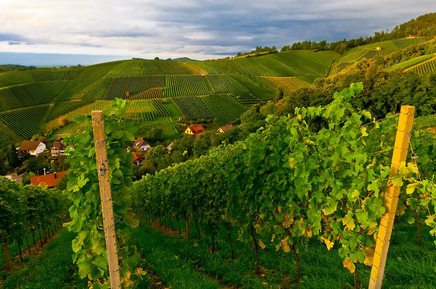 Offenburg Attractions
